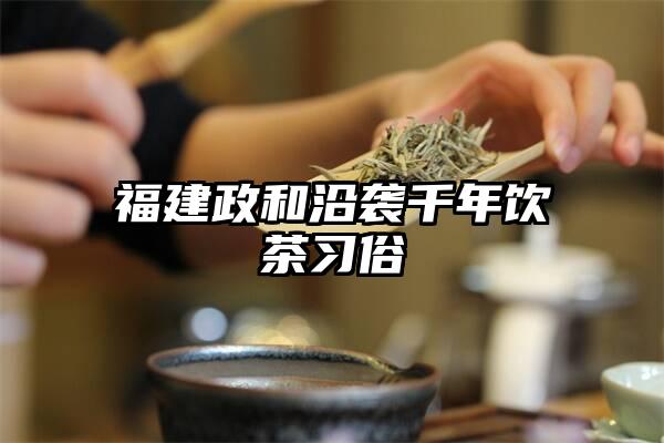 福建政和沿袭千年饮茶习俗