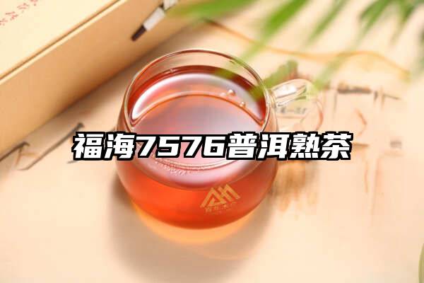 福海7576普洱熟茶