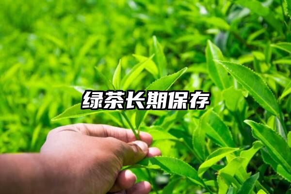 绿茶长期保存