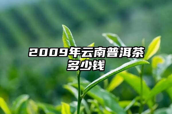 2009年云南普洱茶多少钱