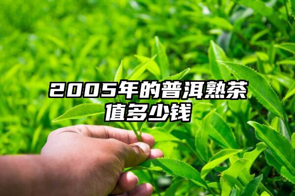 2005年的普洱熟茶值多少钱