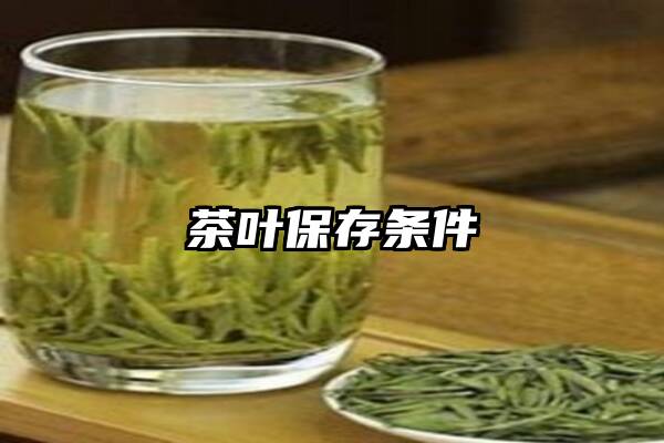 茶叶保存条件