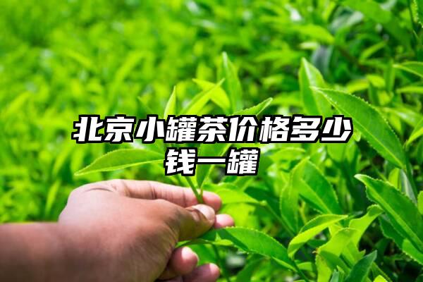 北京小罐茶价格多少钱一罐