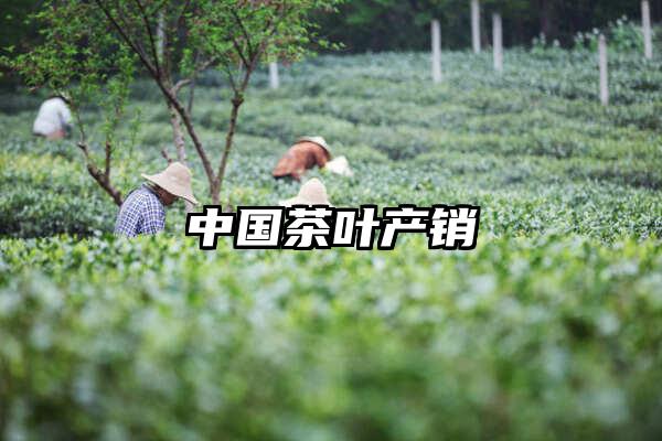 中国茶叶产销