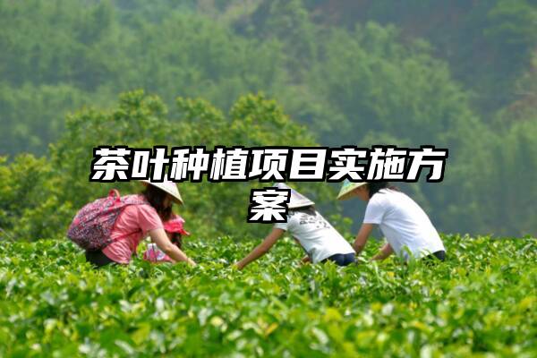 茶叶种植项目实施方案