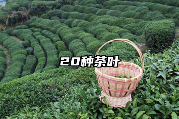 20种茶叶