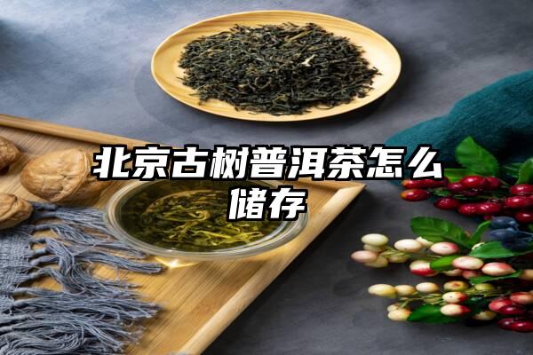 北京古树普洱茶怎么储存