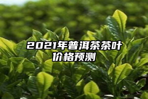 2021年普洱茶茶叶价格预测