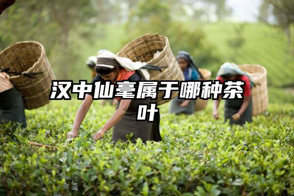 汉中仙毫属于哪种茶叶