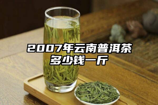 2007年云南普洱茶多少钱一斤