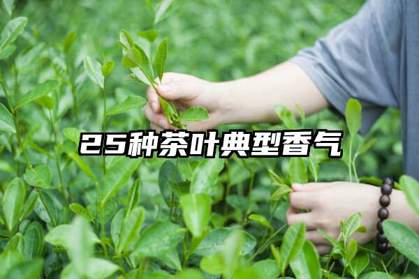 25种茶叶典型香气