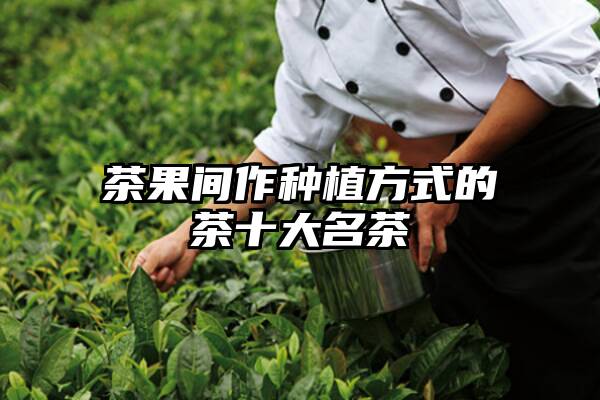 茶果间作种植方式的茶十大名茶