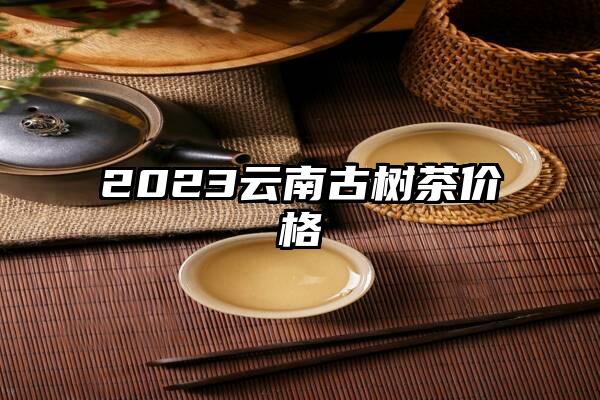 2023云南古树茶价格