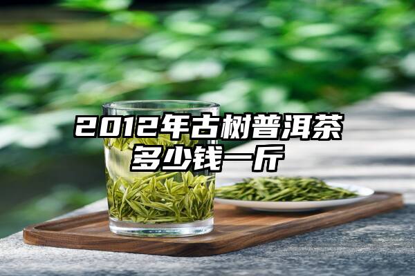 2012年古树普洱茶多少钱一斤