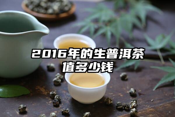 2016年的生普洱茶值多少钱