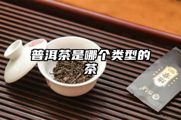 普洱茶是哪个类型的茶
