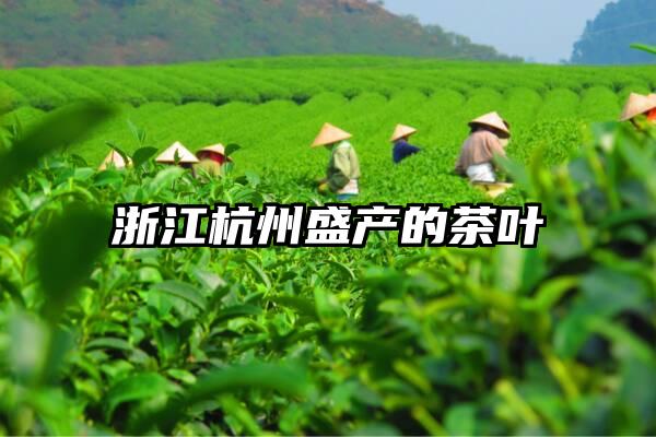 浙江杭州盛产的茶叶