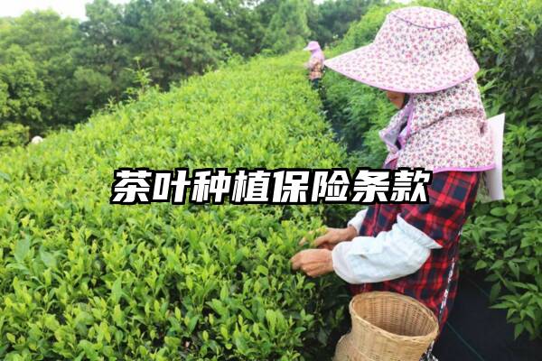 茶叶种植保险条款