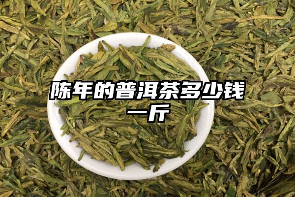 陈年的普洱茶多少钱一斤