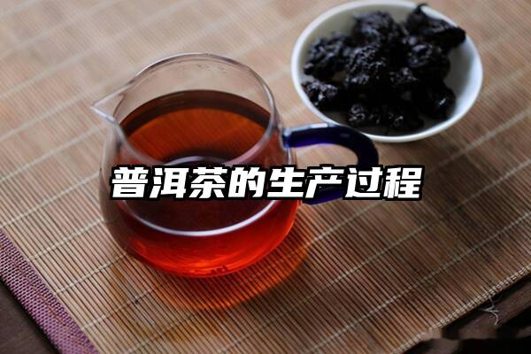 普洱茶的生产过程