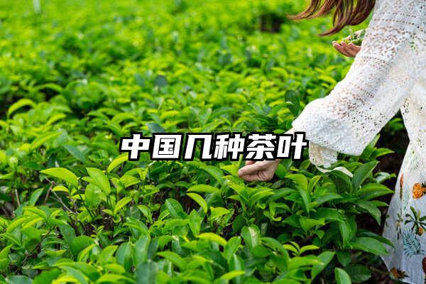 中国几种茶叶