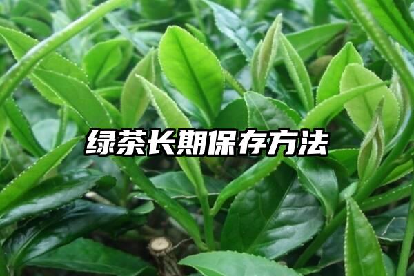 绿茶长期保存方法