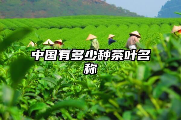 中国有多少种茶叶名称
