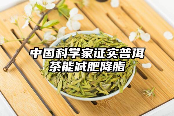 中国科学家证实普洱茶能减肥降脂