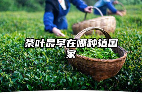 茶叶最早在哪种植国家