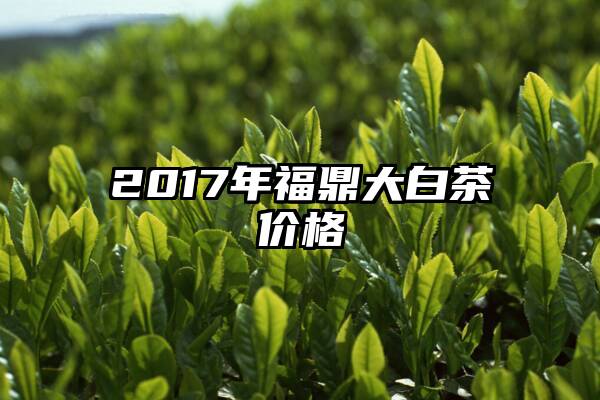 2017年福鼎大白茶价格