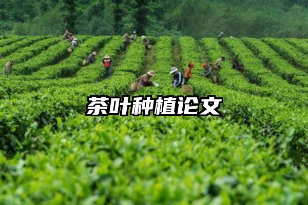 茶叶种植论文