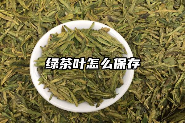 绿茶叶怎么保存