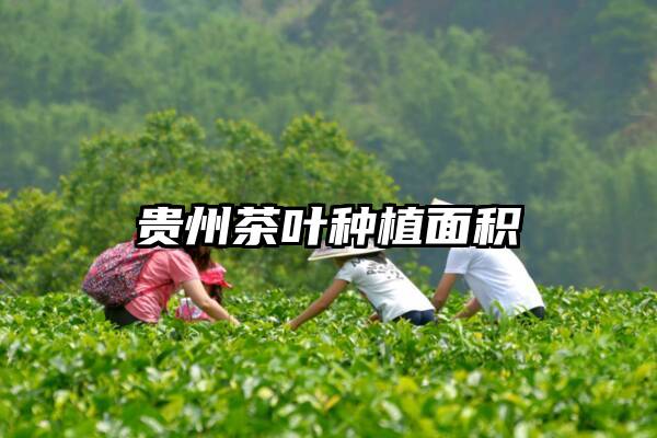 贵州茶叶种植面积