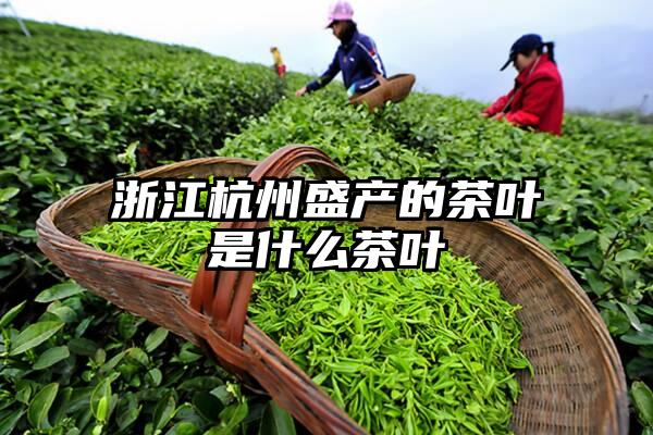 浙江杭州盛产的茶叶是什么茶叶