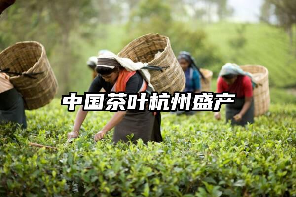 中国茶叶杭州盛产