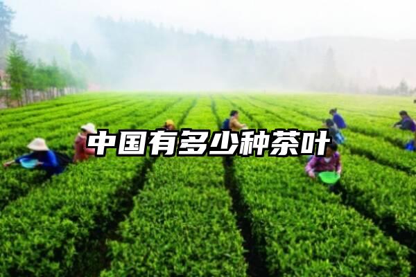 中国有多少种茶叶