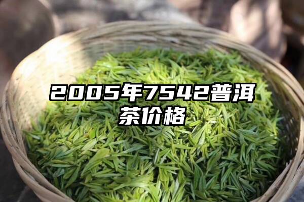 2005年7542普洱茶价格