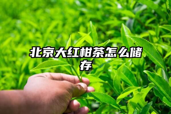 北京大红柑茶怎么储存