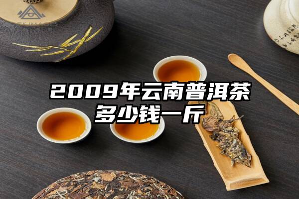 2009年云南普洱茶多少钱一斤