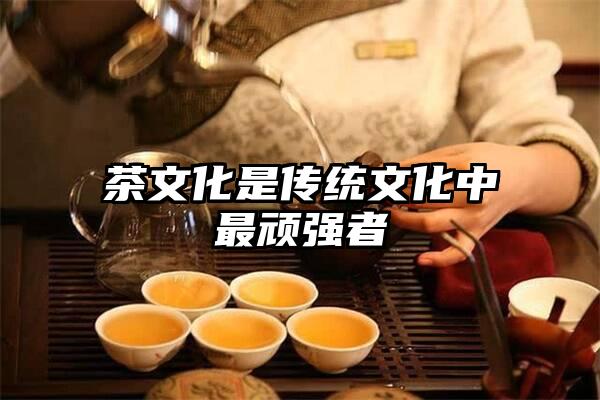茶文化是传统文化中最顽强者