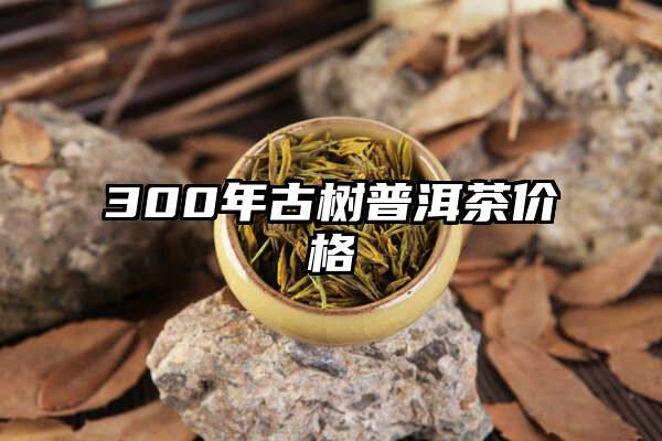300年古树普洱茶价格