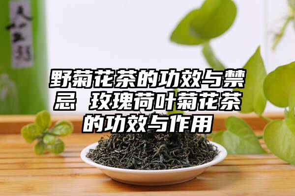 野菊花茶的功效与禁忌 玫瑰荷叶菊花茶的功效与作用