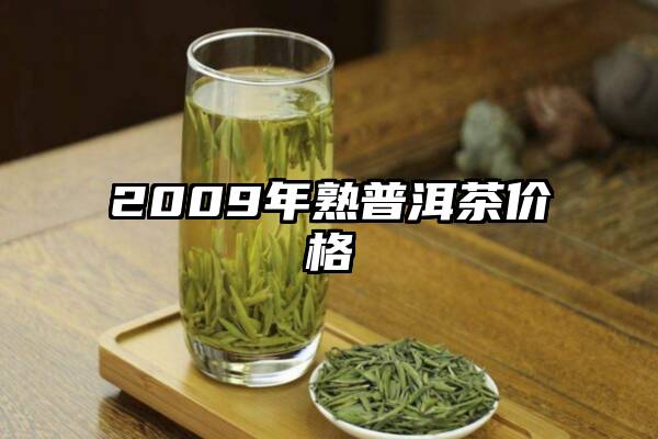 2009年熟普洱茶价格