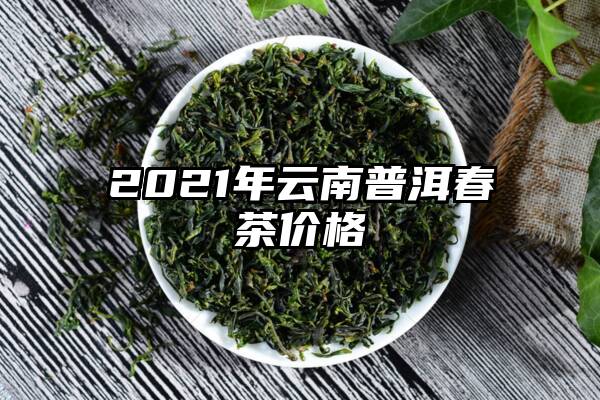 2021年云南普洱春茶价格