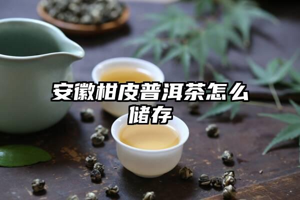安徽柑皮普洱茶怎么储存
