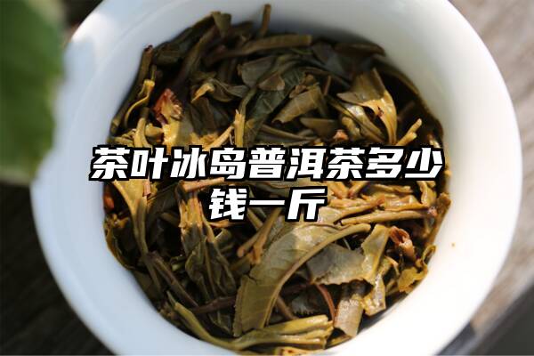 茶叶冰岛普洱茶多少钱一斤