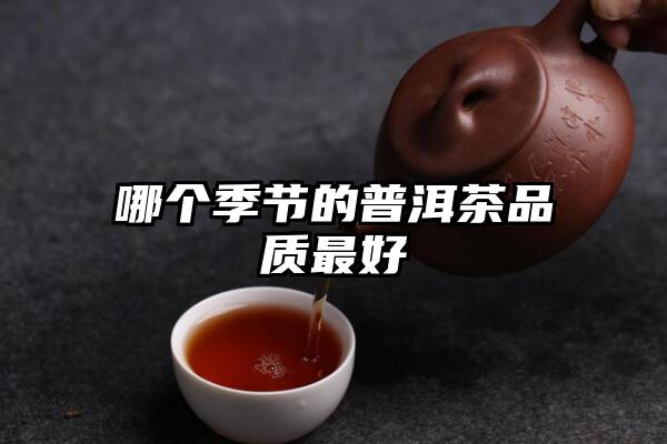 哪个季节的普洱茶品质最好