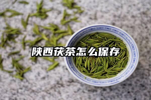 陕西茯茶怎么保存