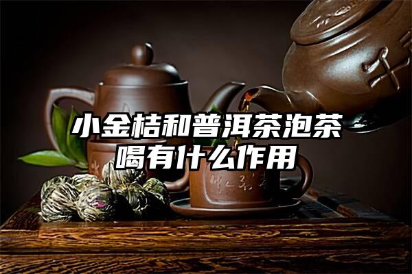 小金桔和普洱茶泡茶喝有什么作用