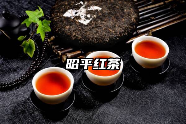昭平红茶